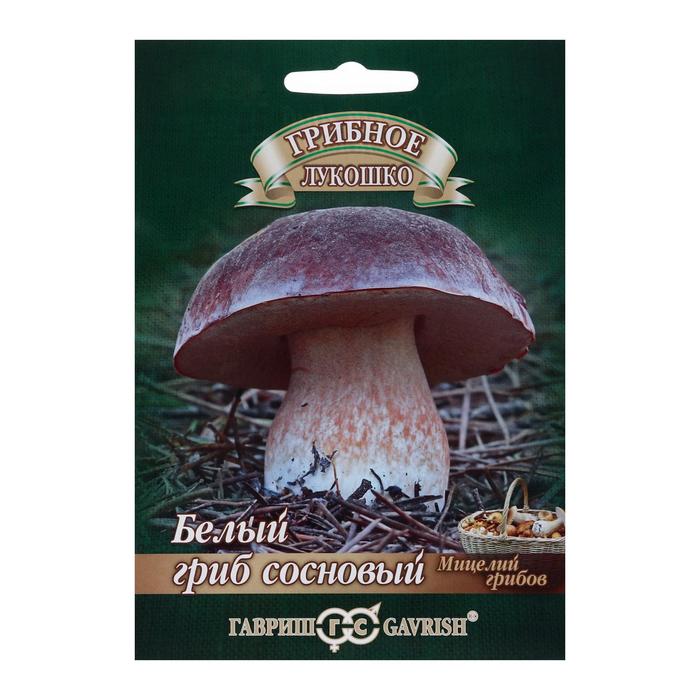 Семена Мицелий грибов «Белый гриб сосновый», на зерновом субстрате, 15 мл, «Гавриш»