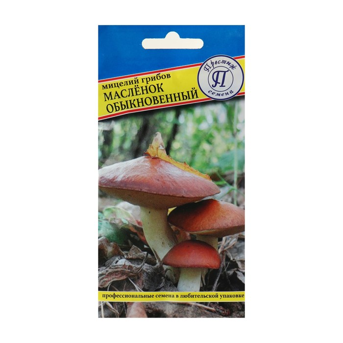 Семена Мицелий грибов «Маслёнок обыкновенный», 50 мл, «Престиж семена»