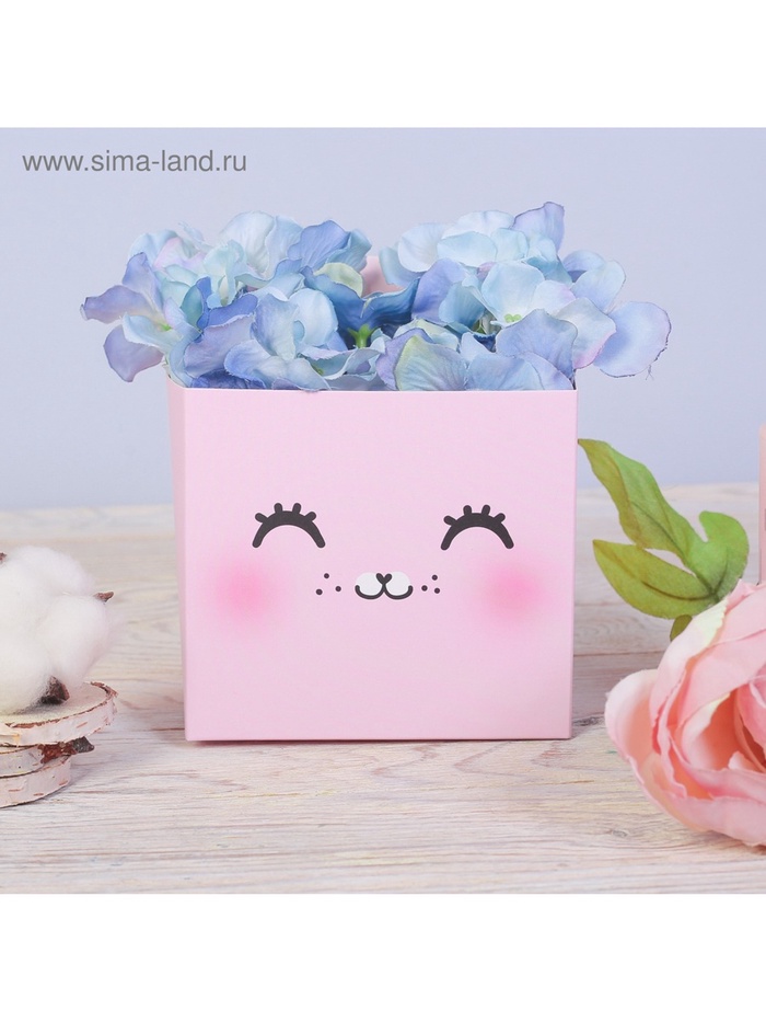 Коробка для мини букетов «Котик», 12×20×10 см