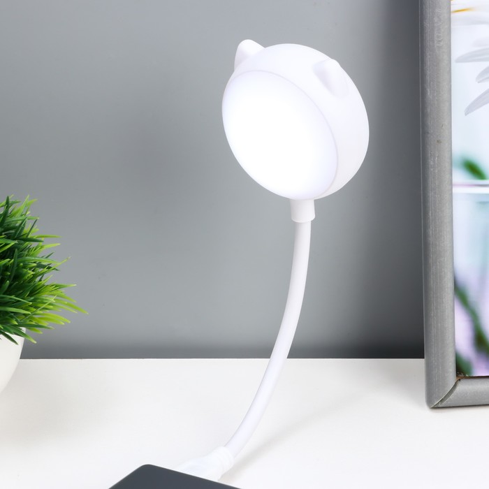Ночник «Котик» LED 2 Вт USB белый 13.5×8.5×30 см RISALUX
