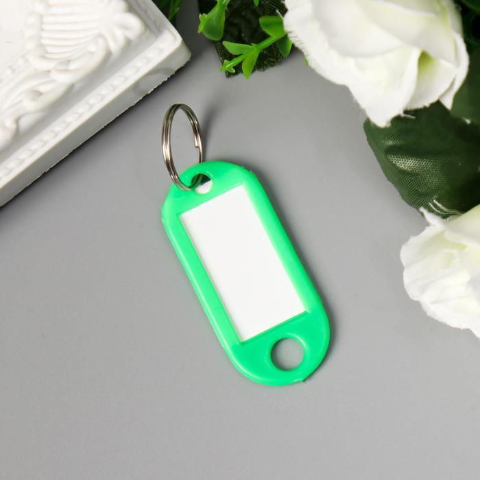 Бирка для ключей на кольце «Идентификатор стандарт», 4.8×2 см, МИКС