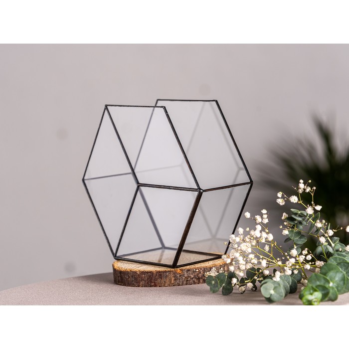 Флорариум «Соты 3d», стекло, швы чёрные