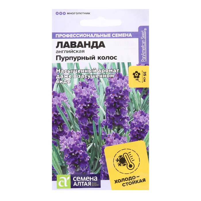 Семена цветов Лаванда «Пурпурный колос», узколистная, 5 шт., «Семена Алтая»