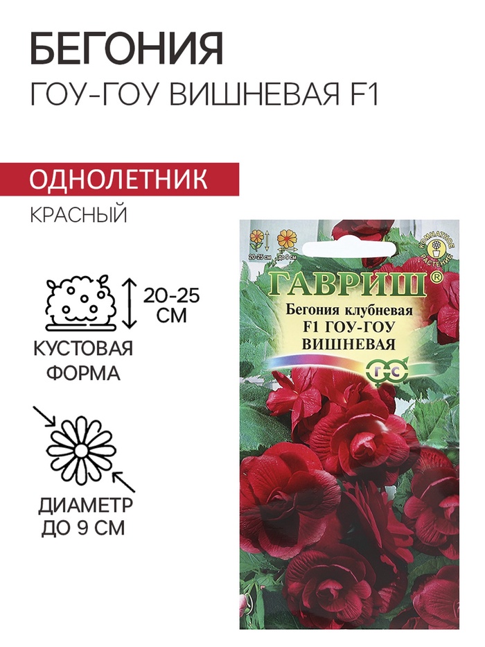 Семена комнатных цветов Бегония клубневая «Гоу-гоу вишневая», F1, 4 шт., «Гавриш»