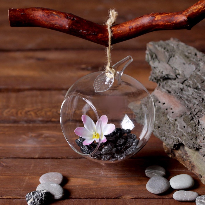 Флорариум «Натурель», яблоко, с веревкой, d=5.5 см, 11×9 см, стекло, прозрачный