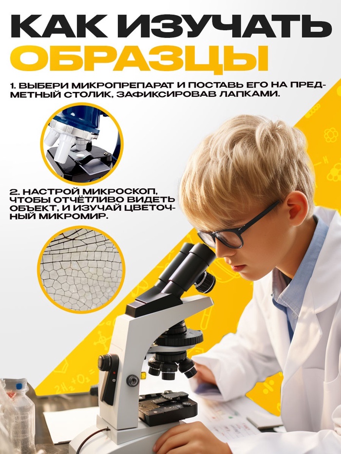 Набор для опытов «Набор микропрепаратов», насекомые