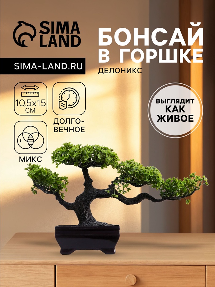 Бонсай в горшке «Делоникс», 10.5×15 см