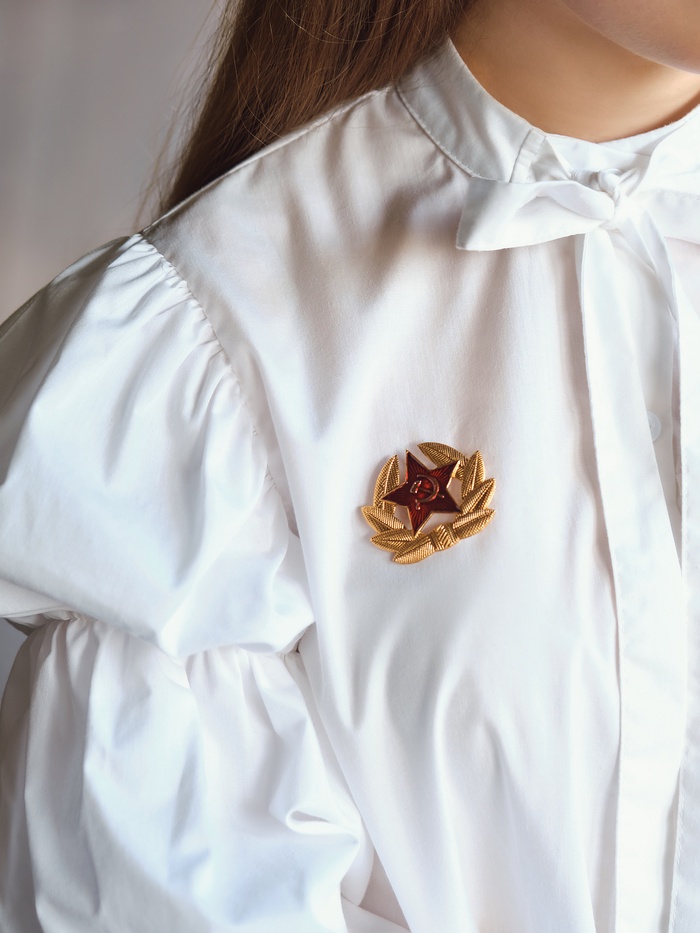 Значок «Кокарда» Советской армии, красный в золоте