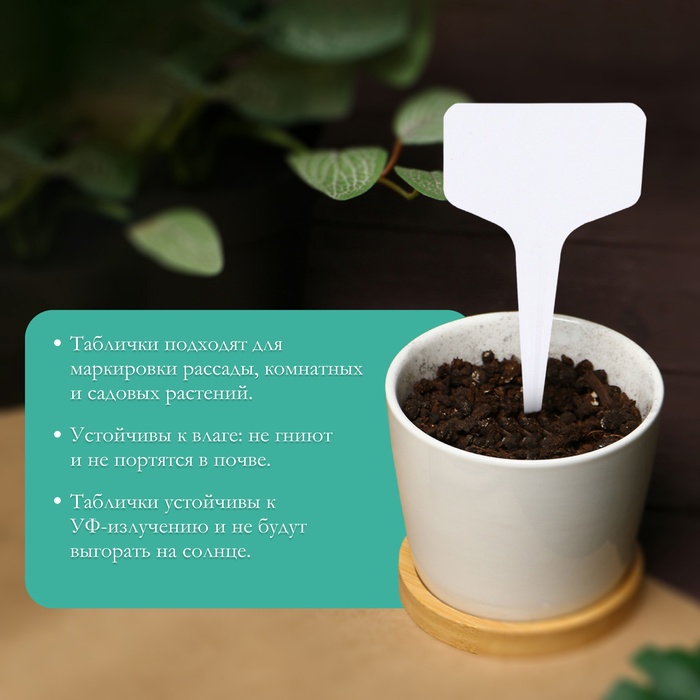 Таблички садовые, для маркировки растений, 10 см, набор 20 шт., пластик, МИКС, Greengo