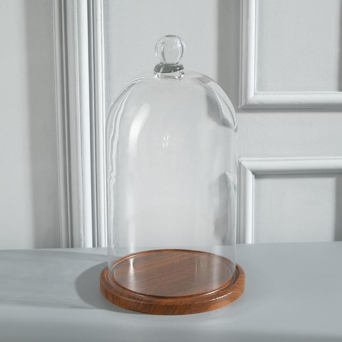 Стеклянный купол - клош с шариком на подставке «Родрик», 29×15 см, коричневый
