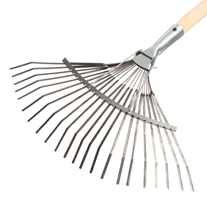 Грабли веерные, пластинчатые, 22 зубца, оцинкованная сталь, деревянный черенок, 1 сорт