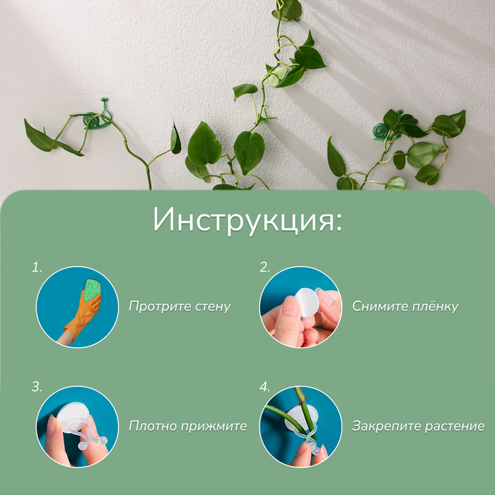 Крепления для вьющихся растений, настенные, самоклеящиеся, «Улитка», d=10 мм, набор 10 шт., Greengo