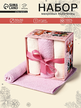 Полотенца махровые «Этель. Енот и лисичка», 30×30 см - 3 шт., хлопок 100%