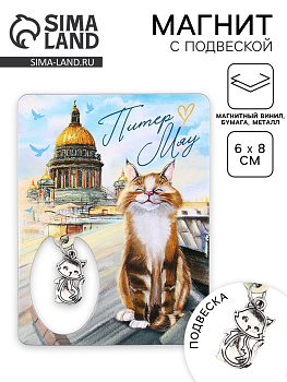 Магнит «Питер», 6×8 см