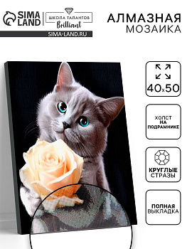 Алмазная вышивка полное заполнение «Котенок с розой», на раме, 40×50 см