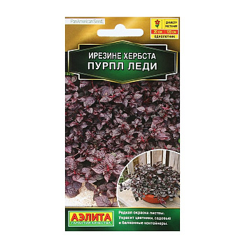 Семена Цветов Ирезине "Пурпл леди", 5 шт