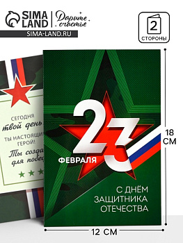 Открытка «С 23 Февраля», 12×18 см