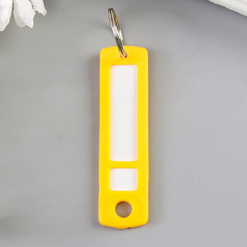 Бирка для ключей на кольце «Идентификатор. Мини», пластик, МИКС