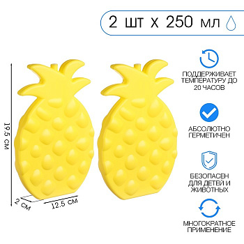Аккумулятор холода гелевый «Мастер К», набор 2 штуки по 250 мл, хладоэлемент для термосумок