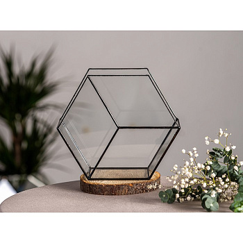 Флорариум «Соты 3d», стекло, швы чёрные