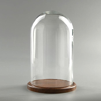 Стеклянный купол - клош на деревянной подставке «Венсан», 25×15 см, коричневый
