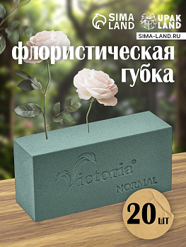 Губка флористическая для живых цветов, букетов «Виктория» кирпич, 23×11×8 см