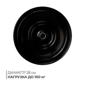 Диск здоровья, металлический, d=28 см, двухцветный