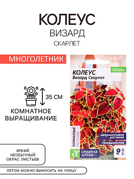 Семена комнатных цветов Колеус «Визард Скарлет», 5 шт., «Семена Алтая»