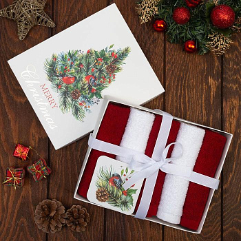 Полотенца махровые «Этель» Merry christmas, 30×30 см - 5 шт., 100% хлопок, 340 г/м²