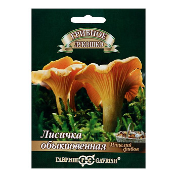 Семена Мицелий грибов «Лисички», на зерновом субстрате, 15 мл, «Гавриш»