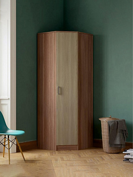 Шкаф угловой «ЭКО», 760×481×2200 мм, цвет ясень шимо тёмный/ясень шимо светлый