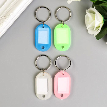 Бирка для ключей на кольце «Идентификатор. Крошка», пластик, МИКС