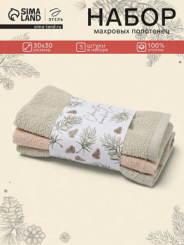 Полотенца махровые «Этель» Wonderland, 30×30 см - 3 шт., 340 г/м², 100% хлопок